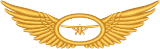 Wings-Wings Plane 2 Wing