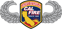 CalFire Wing CAL3A