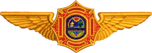 Miami Dade Fire Rescue MDFR1E