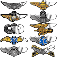 wing-decals-1-300x300-min